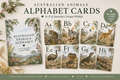 Alphabet Display Cards | Printable Classroom Decor A–Z